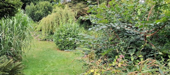 4-salle Maison de ville à Plon, Germany No. 328848 15