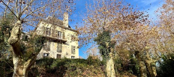 11 rooms Castles in Sus, France No. 192985 9