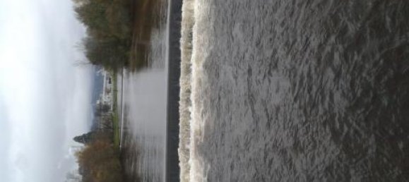 2-Zimmer Wohnung in Rastatt, Germany, Nr. 218081 7