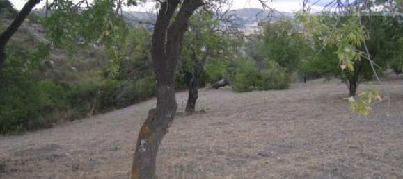  قطعة أرض في Modica, Italy 8288متر مربع رقم 235387 3