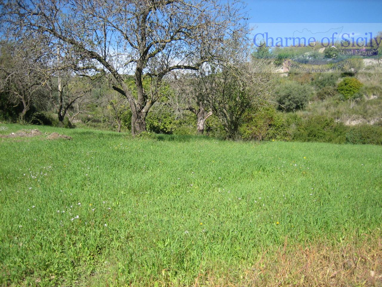  قطعة أرض في Modica, Italy 8288متر مربع رقم 235387