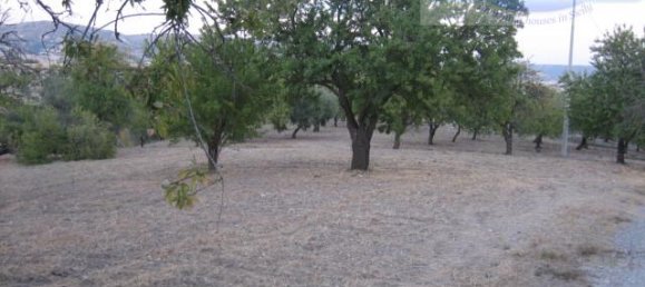  قطعة أرض في Modica, Italy 8288متر مربع رقم 235387 4