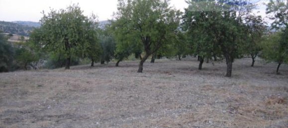  قطعة أرض في Modica, Italy 8288متر مربع رقم 235387 5