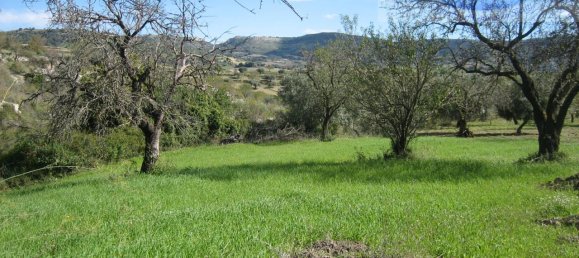  قطعة أرض في Modica, Italy 8288متر مربع رقم 235387 10