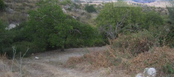  قطعة أرض في Modica, Italy 8288متر مربع رقم 235387 2