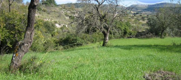  قطعة أرض في Modica, Italy 8288متر مربع رقم 235387 11