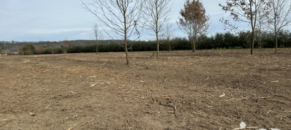 1500m² Land in Saint-Antoine-de-Breuilh, France No. 108664 2