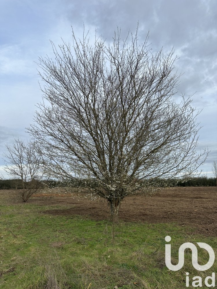 1500m² Land in Saint-Antoine-de-Breuilh, France No. 108664