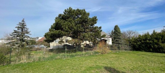 Grundstück in Liesing, Austria, Nr. 125516 2