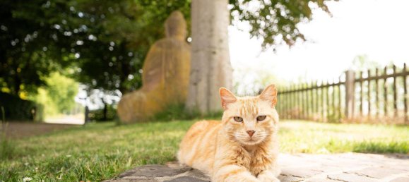 Дом с 3 спальнями в Везель, Германия № 315584 2