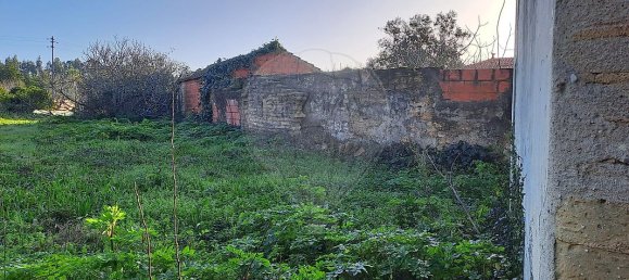 Casa T1 em Febres, Portugal N.º 32177 5