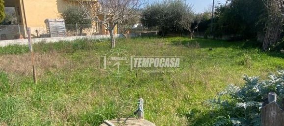 Terreno en Gradara, Italy 368 m² No. 14955 2