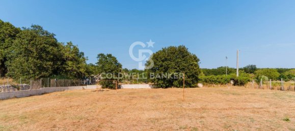 1 bedroom House in Martina Franca, Italy No. 340207 25