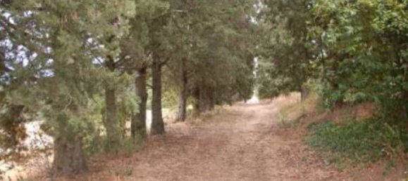 47479m² Land in Marsciano, Italy No. 263595 7