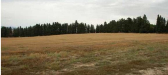 47479m² Land in Marsciano, Italy No. 263595 3