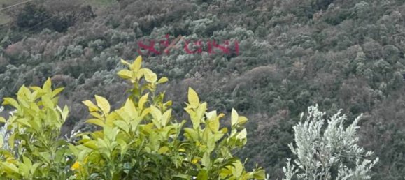 2 bedrooms House in Roccastrada, Italy No. 158483 42