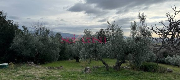 2 bedrooms House in Roccastrada, Italy No. 158483 39