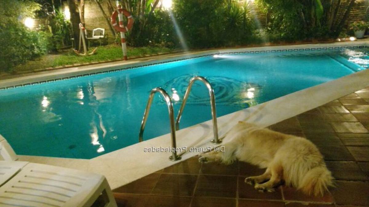 3 Schlafzimmer Wohnung in Montevideo, Uruguay, Nr. 3301