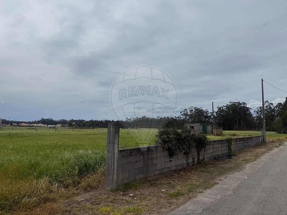  Land in Valega, Portugal No. 339035