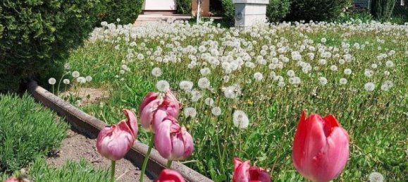 2 rooms House in Vienna, Austria No. 134681 14