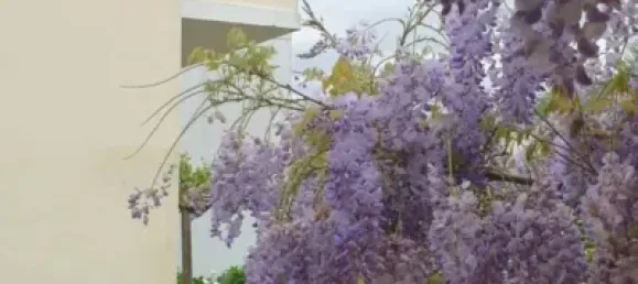 6 Schlafzimmer Haus in Lugo, Spain, Nr. 183804 3