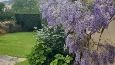 6 Schlafzimmer Haus in Lugo, Spain, Nr. 183804