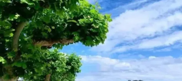 6 Schlafzimmer Haus in Lugo, Spain, Nr. 183804 30