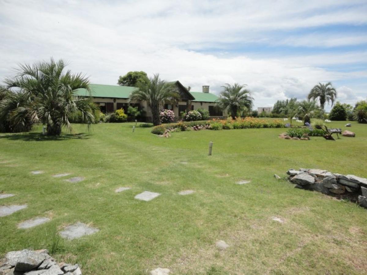  مزرعة في Maldonado, Uruguay رقم 15155