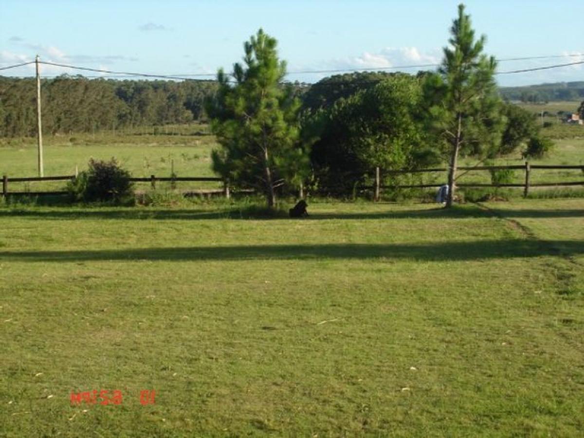  Farm in Maldonado, Uruguay No. 16198