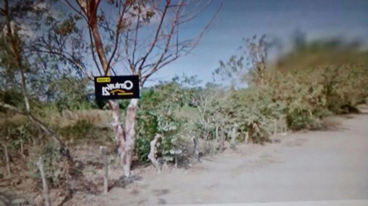  Land in Veracruz, Mexico No. 205087