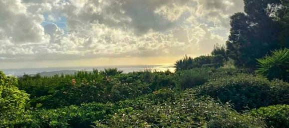 3 bedrooms Villa in Porto-Vecchio, France No. 152794 4