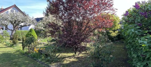 7 rooms House in Wittenberg, Germany No. 174275 3