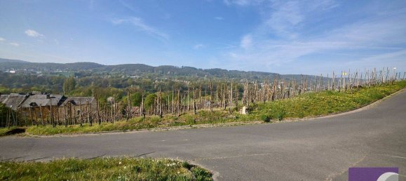 Земельный участок в Бернкастель-Витлих, Германия № 306837 6