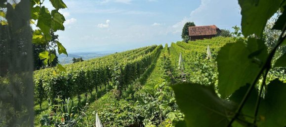 3 rooms Castles in Gralla, Austria No. 159418 19