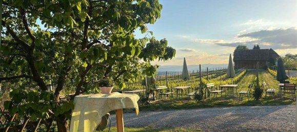 3 rooms Castles in Gralla, Austria No. 159418 20