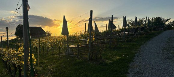 3 rooms Castles in Gralla, Austria No. 159418 25