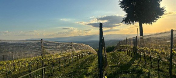 3 rooms Castles in Gralla, Austria No. 159418 27