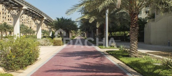 3 غرف نوم شقة في نخلة جميرا, UAE رقم 27835 16