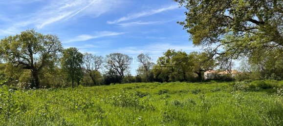 4 Schlafzimmer Schlösser in Saint-Michel-Chef-Chef, France, Nr. 293122 15