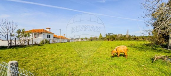 1 bedroom House in Sao Felix da Marinha, Portugal No. 205744 24