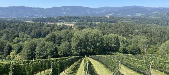 7 bedrooms Castles in Bad Schwanberg, Austria No. 234950 8