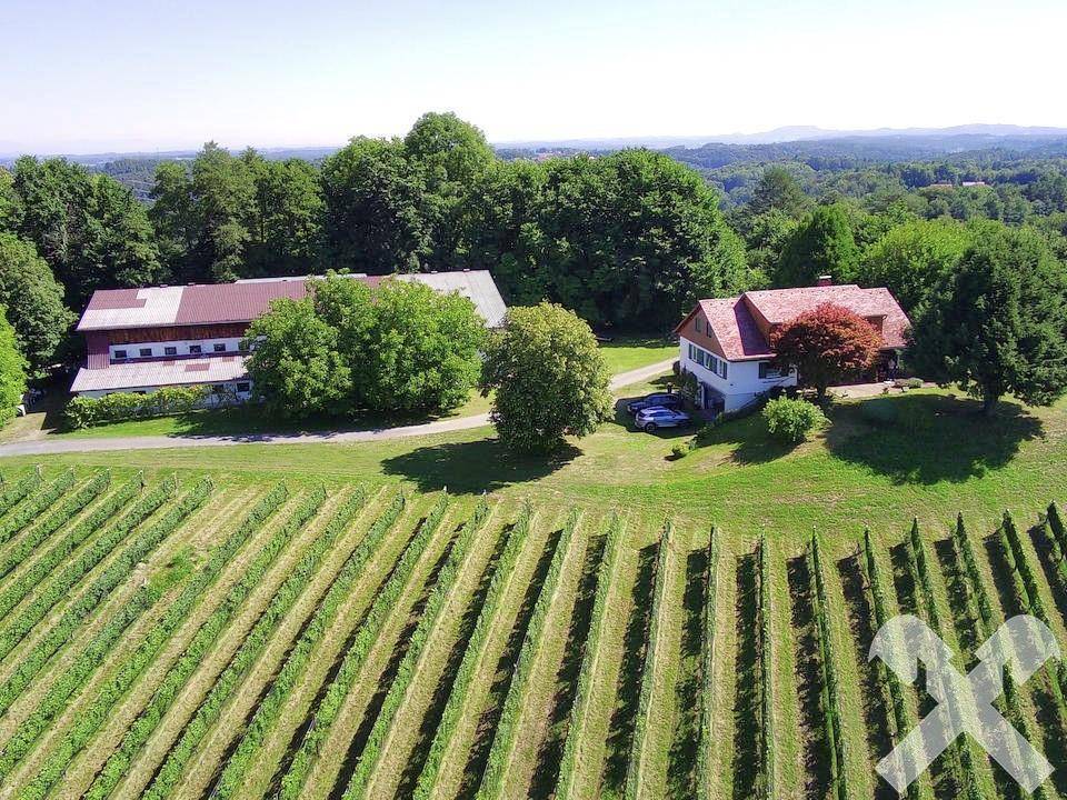 7 bedrooms Castles in Bad Schwanberg, Austria No. 234950