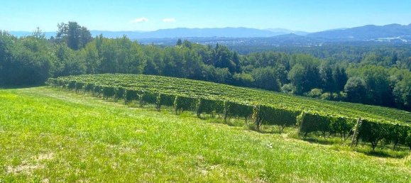 7 bedrooms Castles in Bad Schwanberg, Austria No. 234950 9