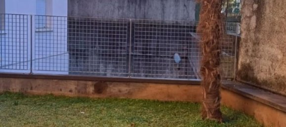 5 bedrooms Apartment in Pordenone, Italy No. 377429 22