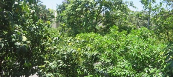 4 Schlafzimmer Villa in Tay Ho, Vietnam, Nr. 4060 30