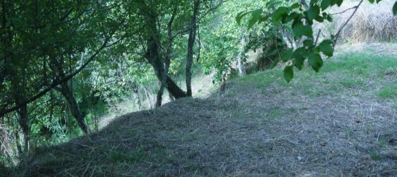 3-Zimmer Haus in Sesta Godano, Italy, Nr. 301532 15