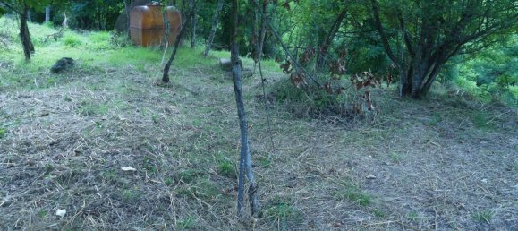 3-Zimmer Haus in Sesta Godano, Italy, Nr. 301532 26