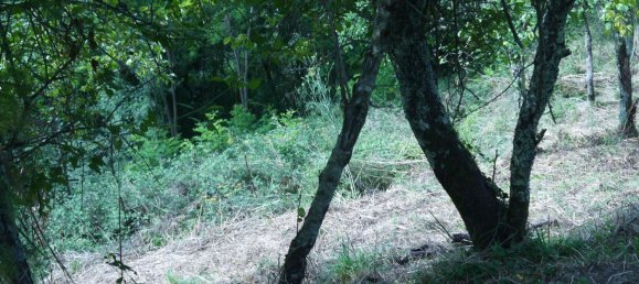 3-Zimmer Haus in Sesta Godano, Italy, Nr. 301532 17