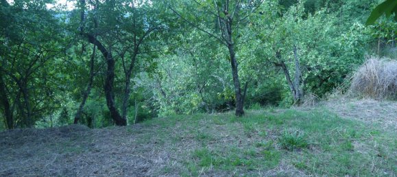 3-Zimmer Haus in Sesta Godano, Italy, Nr. 301532 23