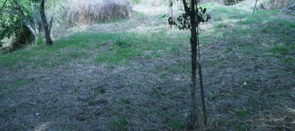 3-Zimmer Haus in Sesta Godano, Italy, Nr. 301532 14